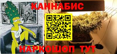 шишки Лесосибирск